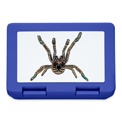 Lunchbox Pterniochilus murinus tcf - Royalblau