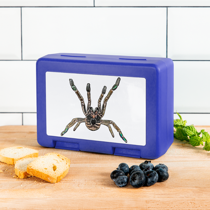 Lunchbox Pterniochilus murinus tcf - Royalblau