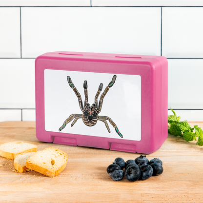 Lunchbox Pterniochilus murinus tcf - Pink