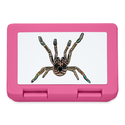 Lunchbox Pterniochilus murinus tcf - Pink