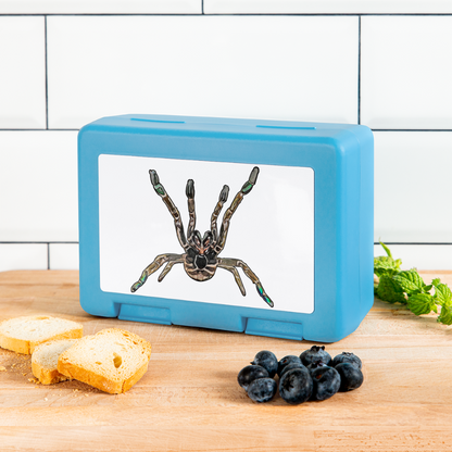 Lunchbox Pterniochilus murinus tcf - Saphirblau