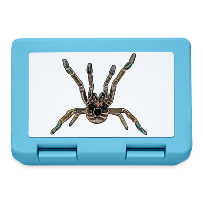 Lunchbox Pterniochilus murinus tcf - Saphirblau