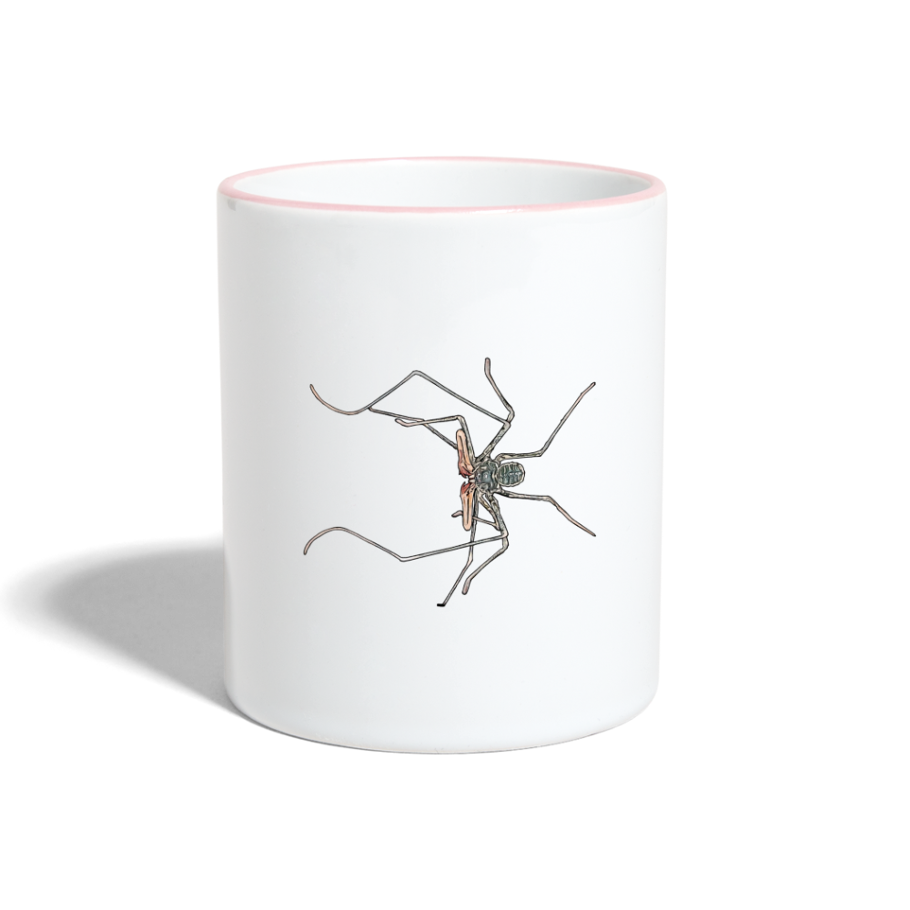 Tasse farbig Euphrynichus bacillifer - Weiß/Pink