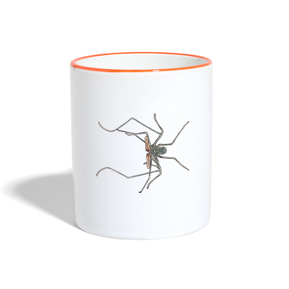 Tasse farbig Euphrynichus bacillifer - Weiß/Orange