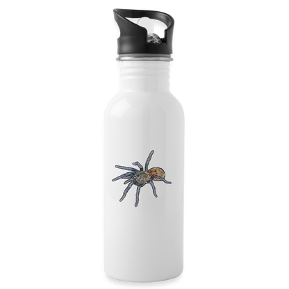 Trinkflasche Chromatopelma cyaneopubescens - weiß