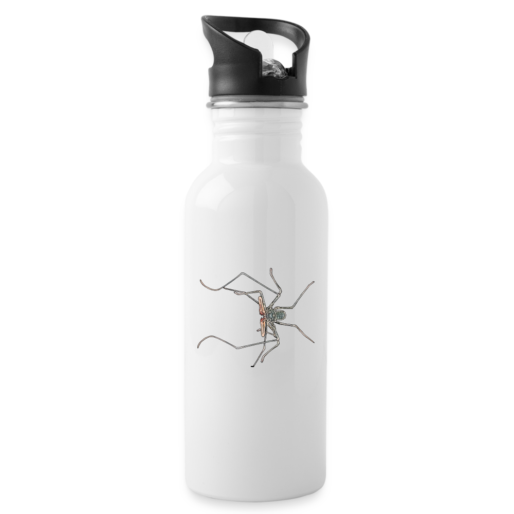 Trinkflasche Euphrynichus bacillifer - weiß