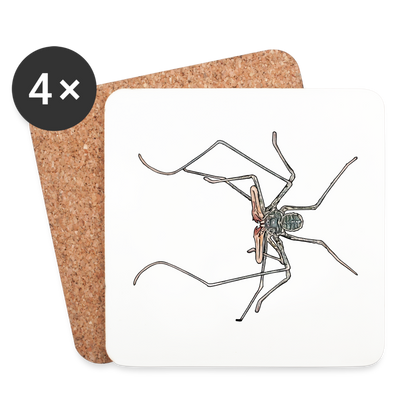 Untersetzer 4er-Set Euphrynichus bacillifer - weiß