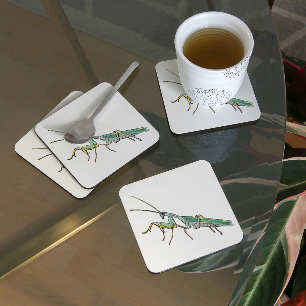 Untersetzer 4er Set Sphodromantis lineola male - weiß