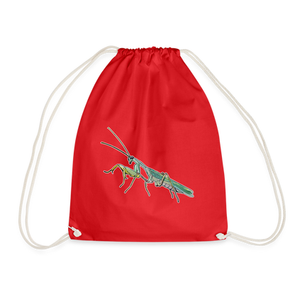 Turnbeutel Sphodromantis lineola male - Rot