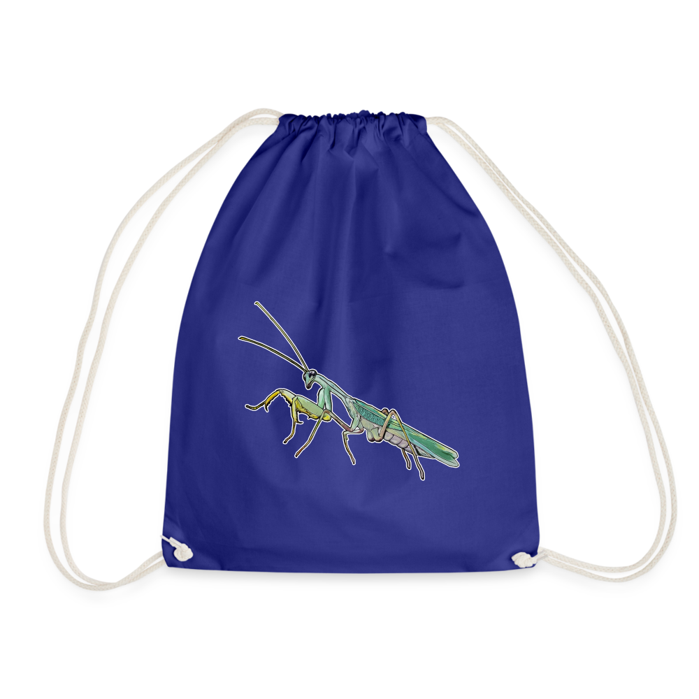 Turnbeutel Sphodromantis lineola male - Königsblau