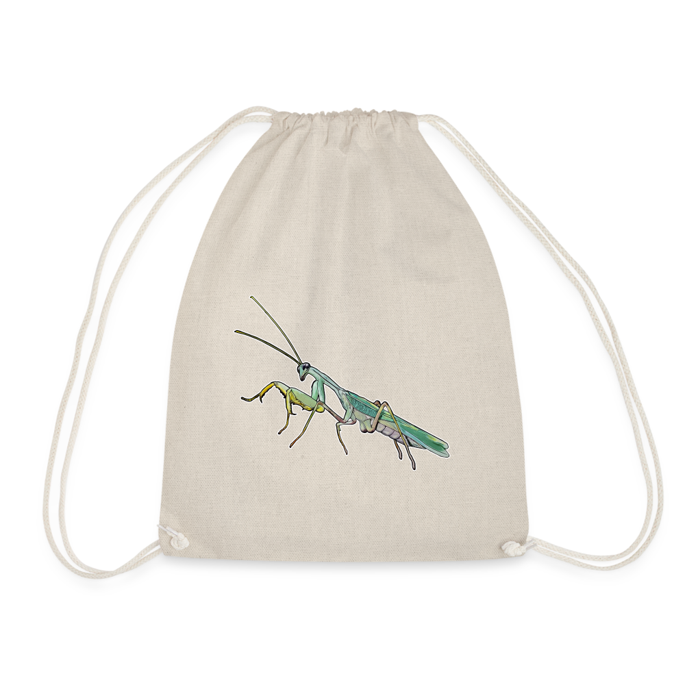 Turnbeutel Sphodromantis lineola male - Natur