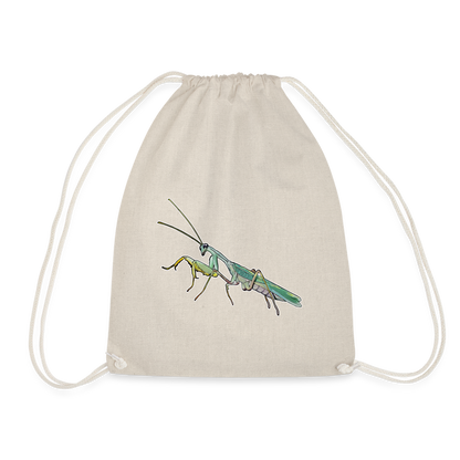 Turnbeutel Sphodromantis lineola male - Natur