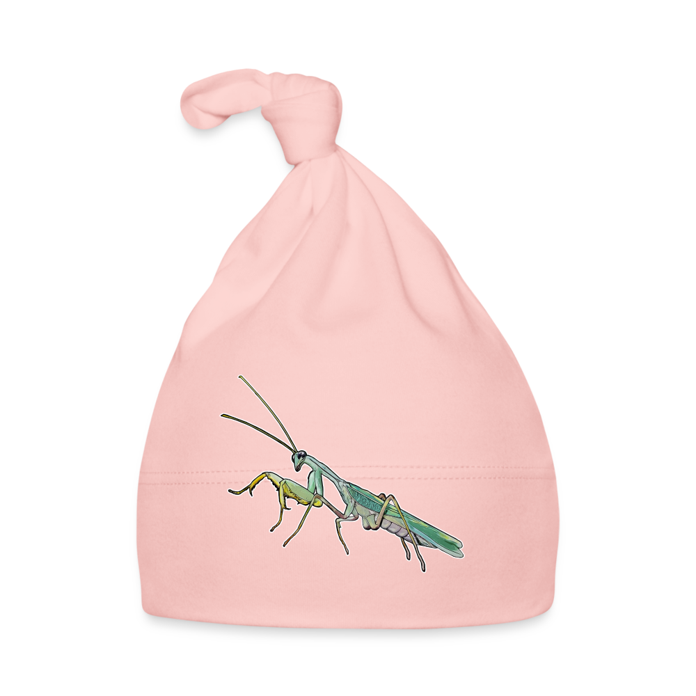Baby Mützchen Sphodromantis lineola male - Rosa