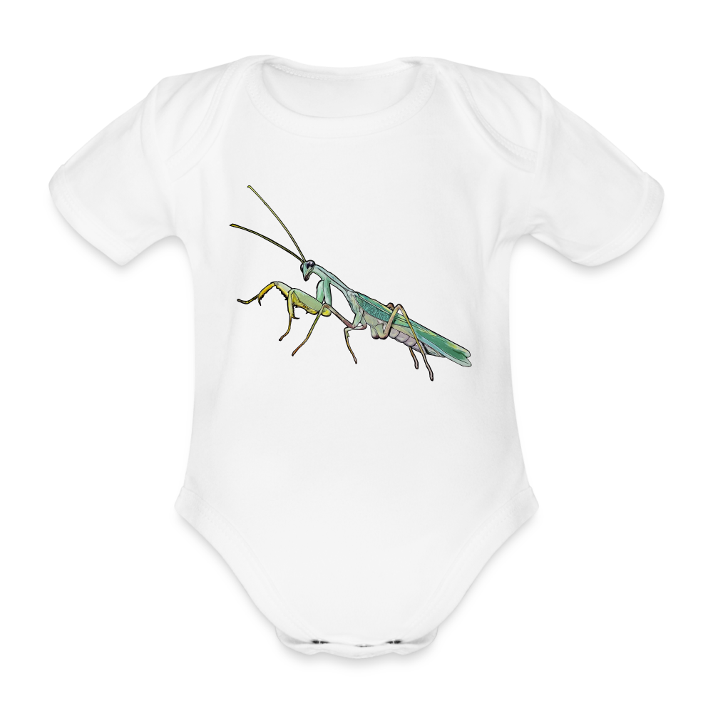 Baby Body kurz Sphodromantis lineola male - weiß