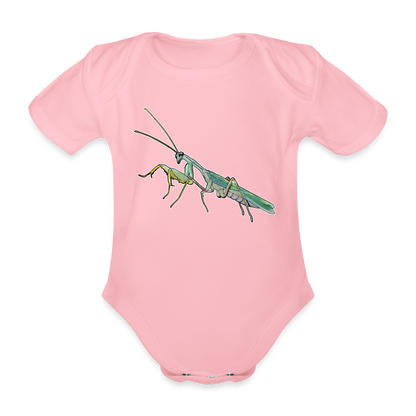 Baby Body kurz Sphodromantis lineola male - Hellrosa