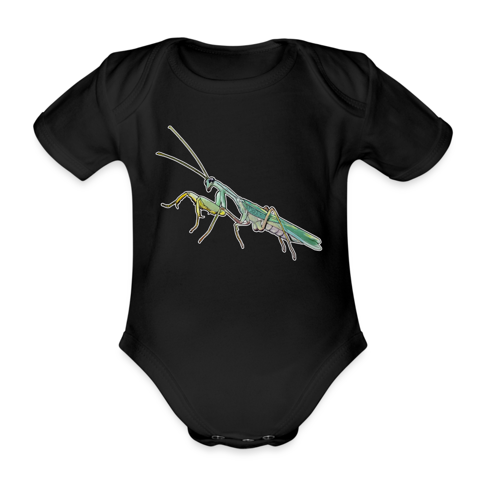 Baby Body kurz Sphodromantis lineola male - Schwarz