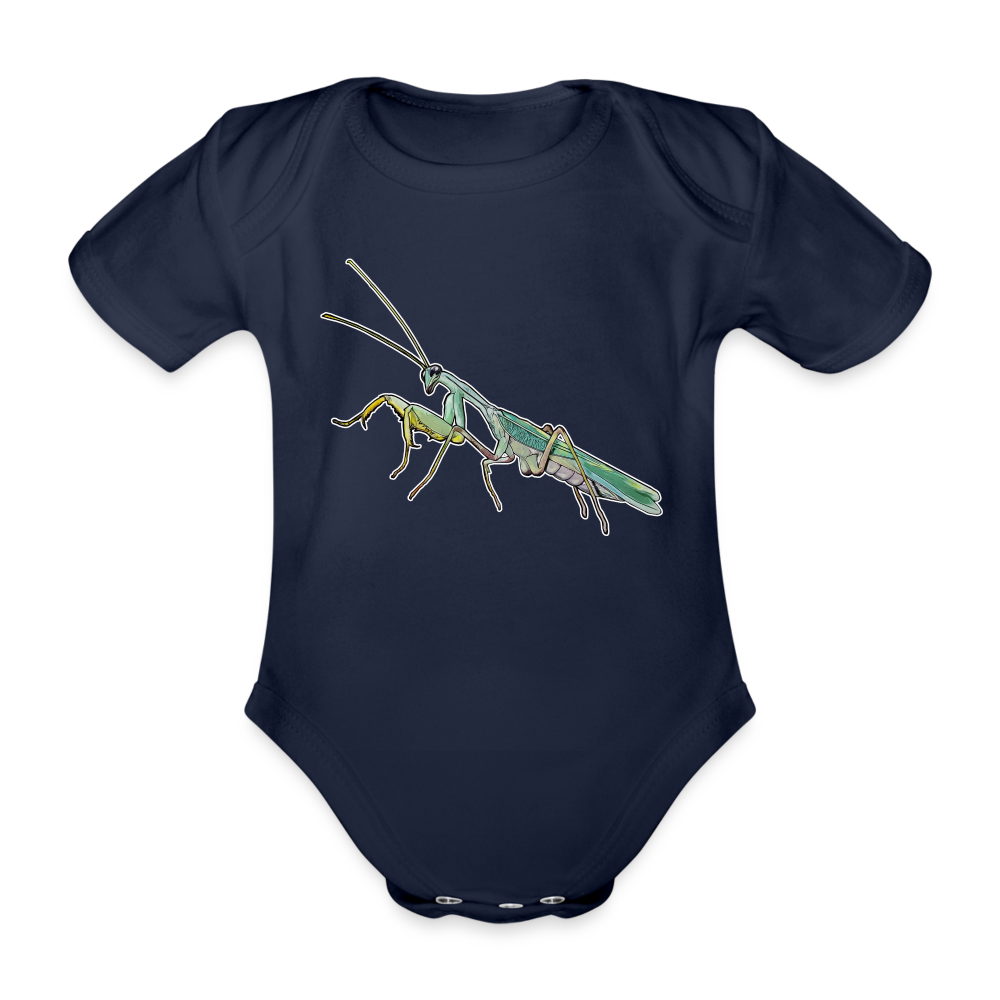 Baby Body kurz Sphodromantis lineola male - Dunkelnavy