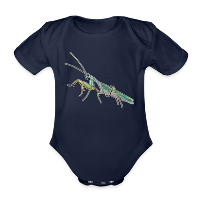Baby Body kurz Sphodromantis lineola male - Dunkelnavy