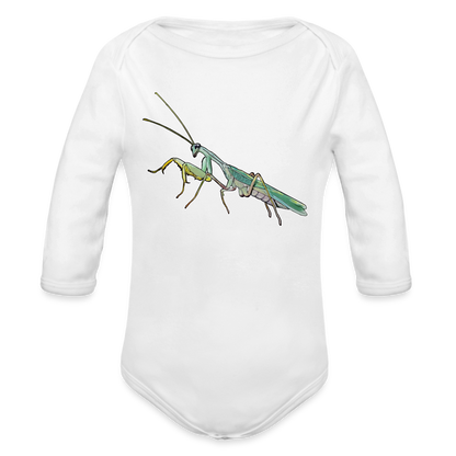 Baby Body lang Sphodromantis lineola male - weiß