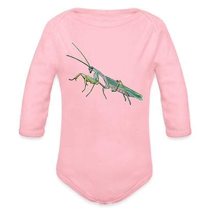 Baby Body lang Sphodromantis lineola male - Hellrosa