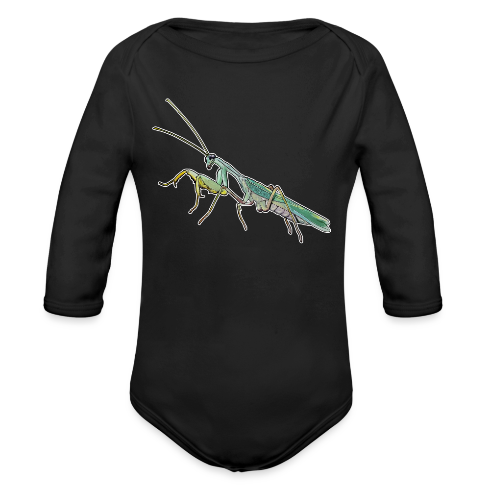 Baby Body lang Sphodromantis lineola male - Schwarz