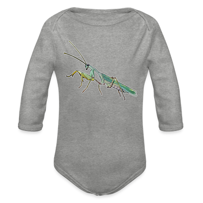 Baby Body lang Sphodromantis lineola male - Grau meliert