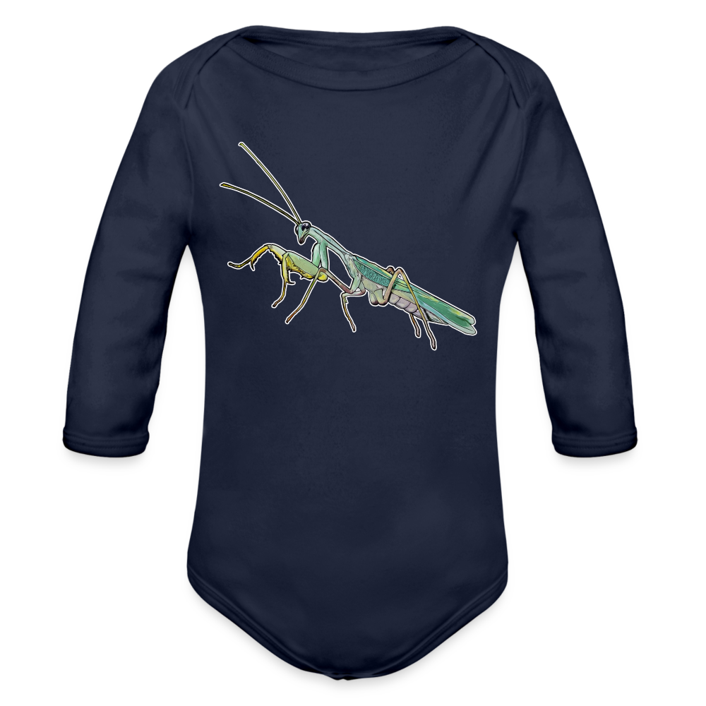 Baby Body lang Sphodromantis lineola male - Dunkelnavy