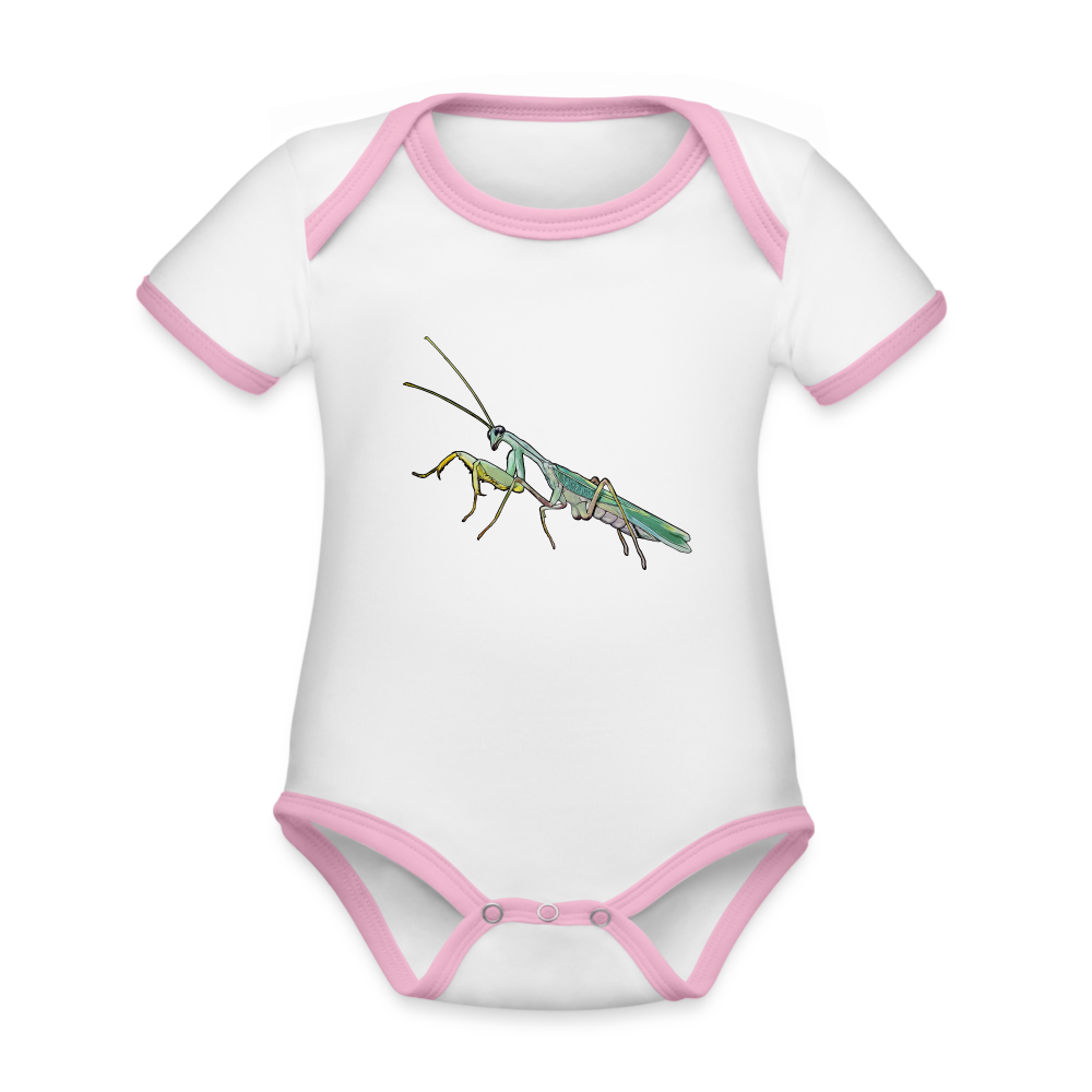 Baby Kontrastbody kurz Sphodromantis lineola male - Weiß/Rose