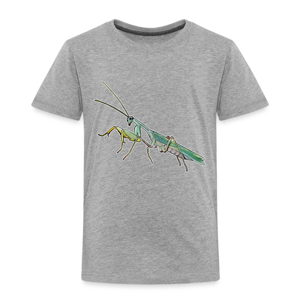 Kinder Basic T-Shirt Sphodromantis lineola male - Grau meliert