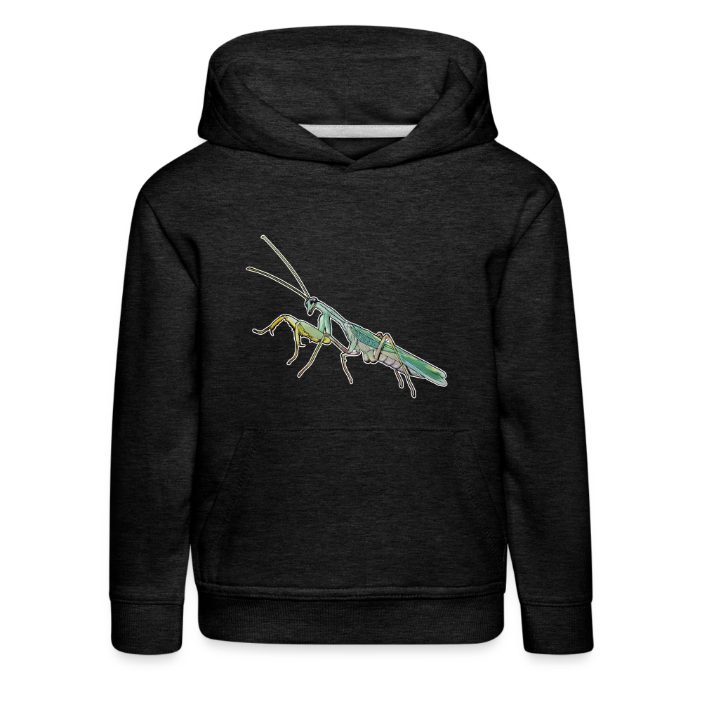 Kinder Hoodie Sphodromantis lineola male - Anthrazit