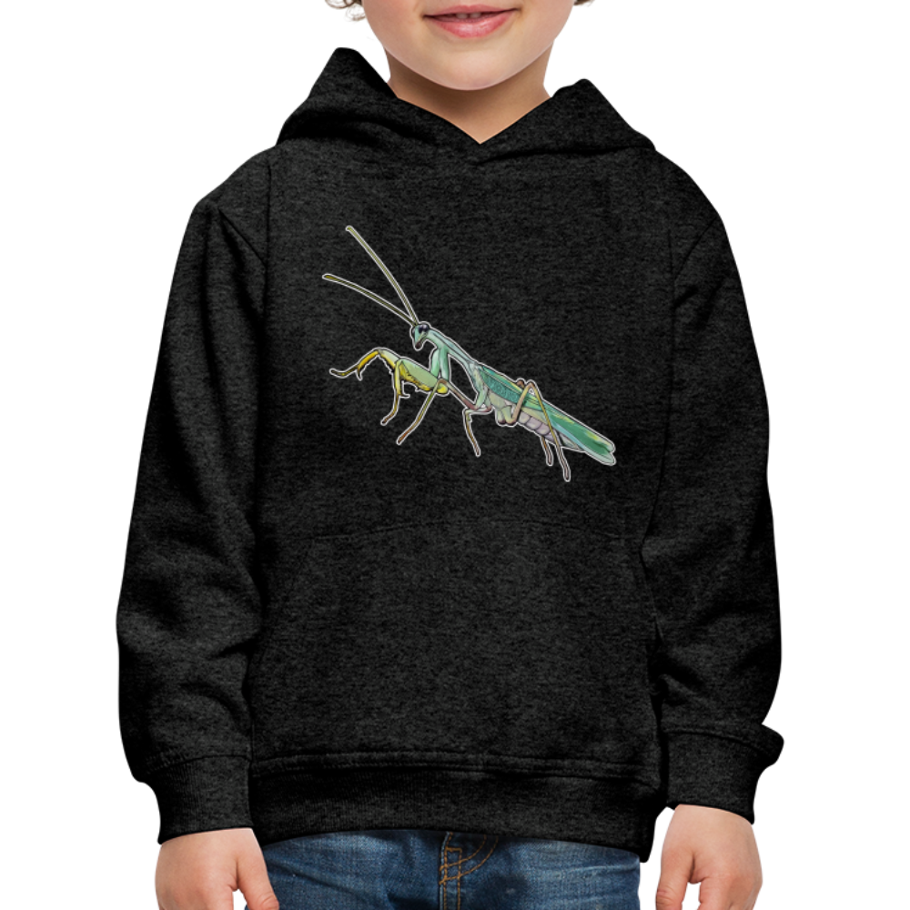 Kinder Hoodie Sphodromantis lineola male - Anthrazit