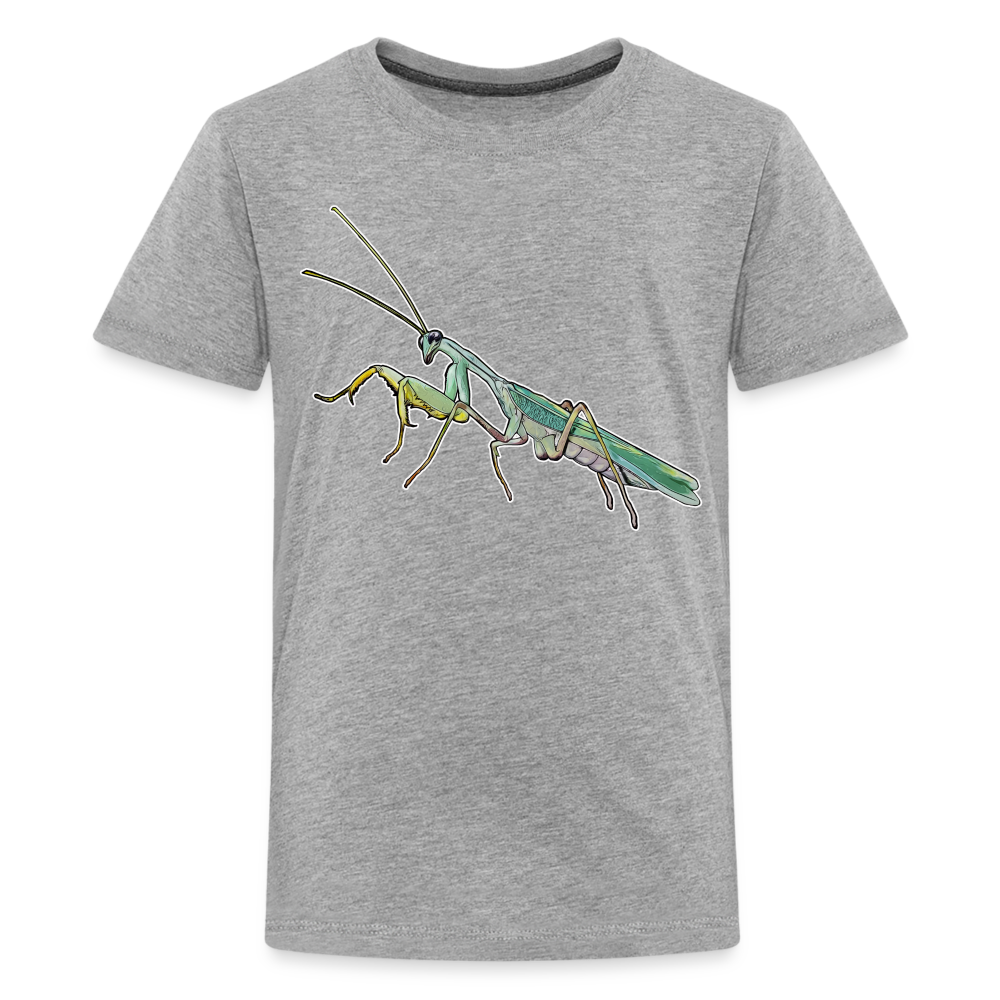 Teenager Basic T-Shirt Sphodromantis lineola male - Grau meliert