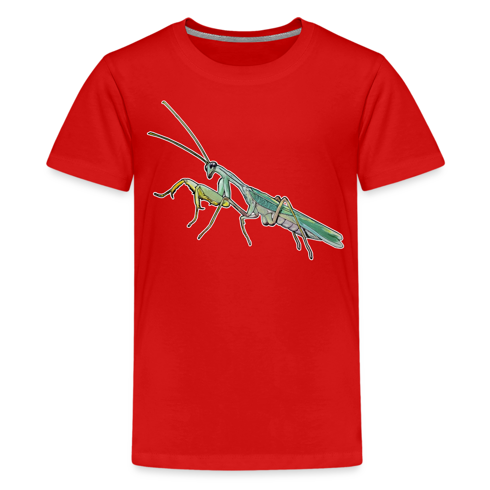 Teenager Basic T-Shirt Sphodromantis lineola male - Rot