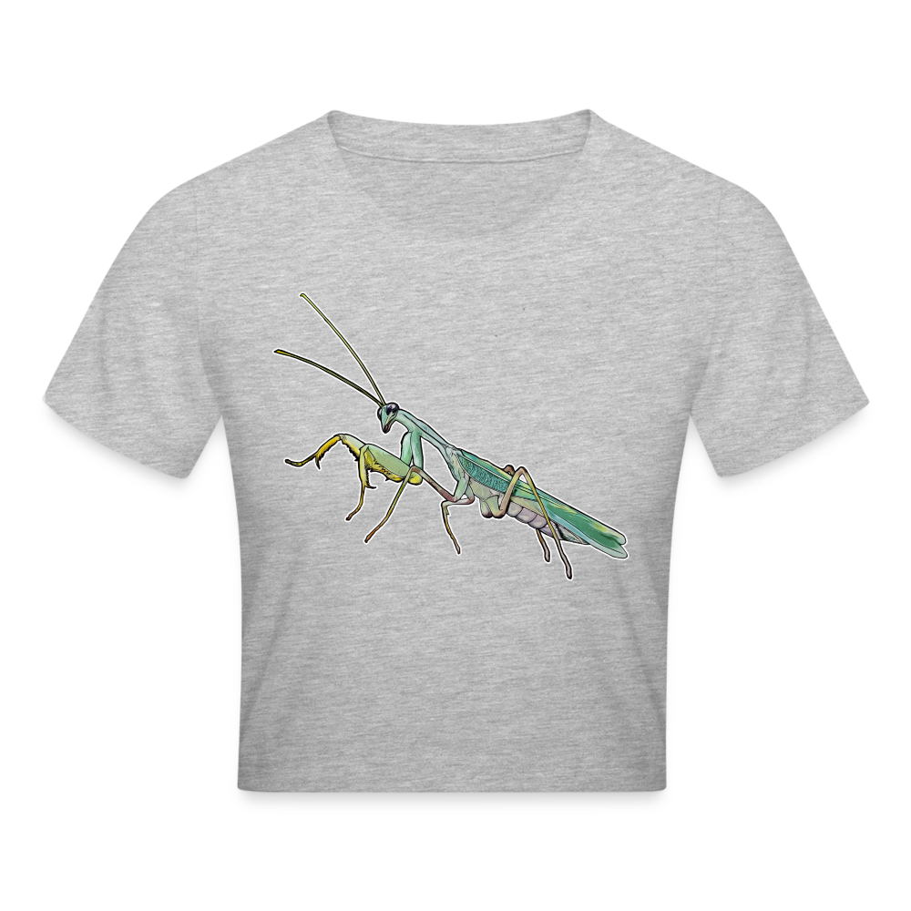 Crop T-Shirt Sphodromantis lineola male - Grau meliert