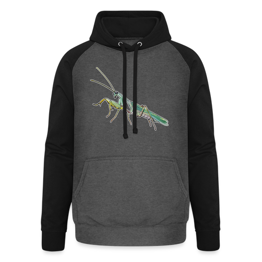 Unisex Baseball Hoodie Sphodromantis lineola male - Graphit/Schwarz