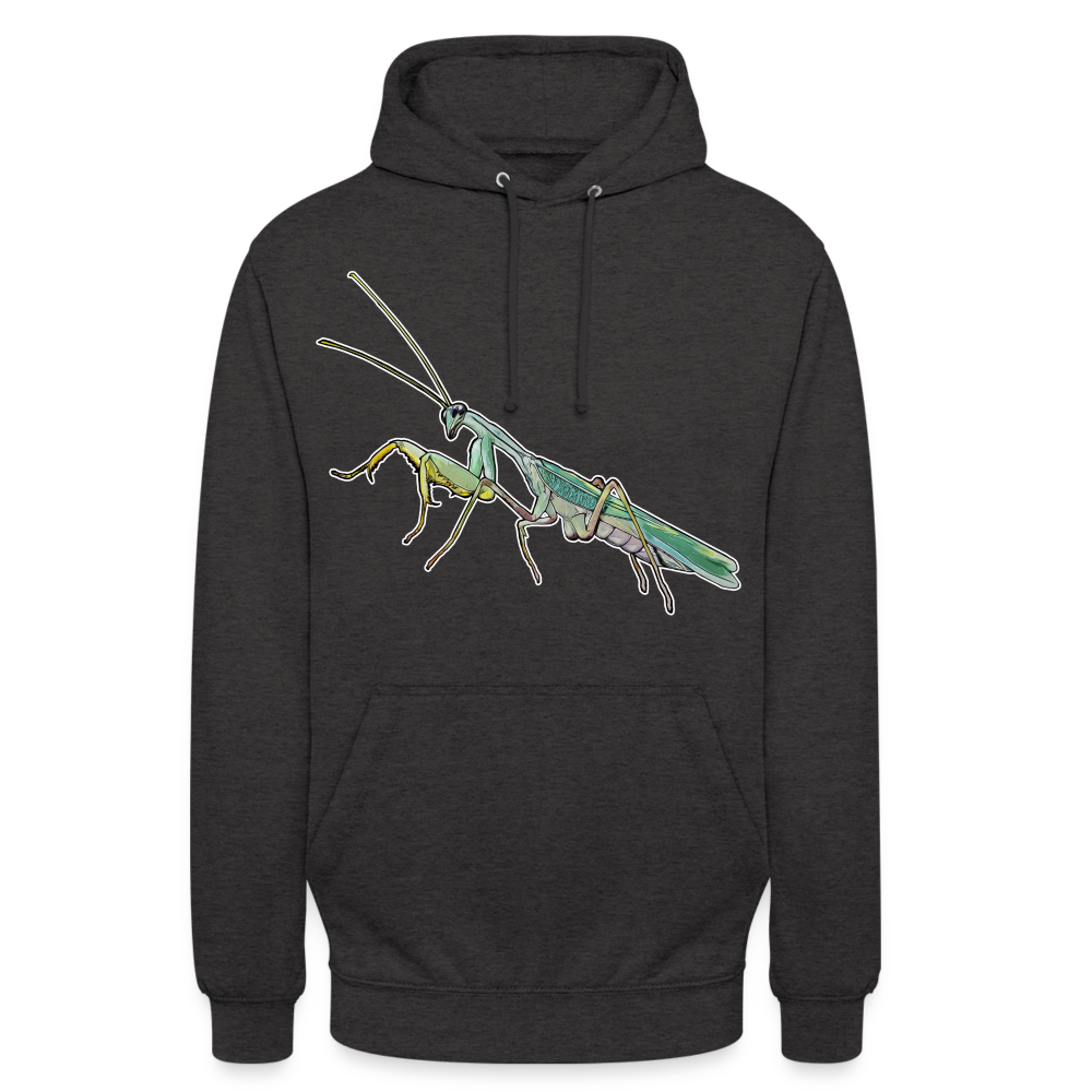 Unisex Hoodie Sphodromantis lineola male - Anthrazit