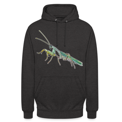 Unisex Hoodie Sphodromantis lineola male - Anthrazit