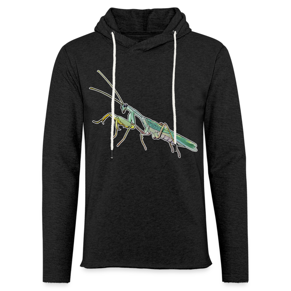 Unisex Kapuzensweatshirt Sphodromantis lineola male - Anthrazit