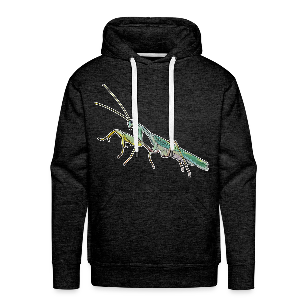 Männer Hoodie Sphodromantis lineola male - Anthrazit