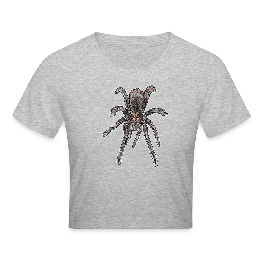 Crop T-Shirt Pamphobeteus sp Machala juvenile - Grau meliert