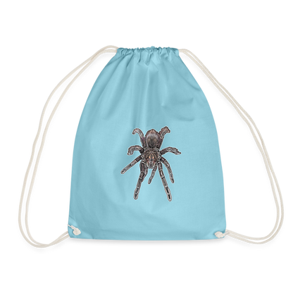 Turnbeutel Pamphobeteus sp Machala juvenile - Aqua