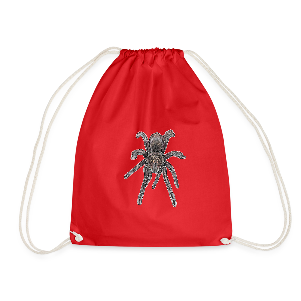 Turnbeutel Pamphobeteus sp Machala juvenile - Rot