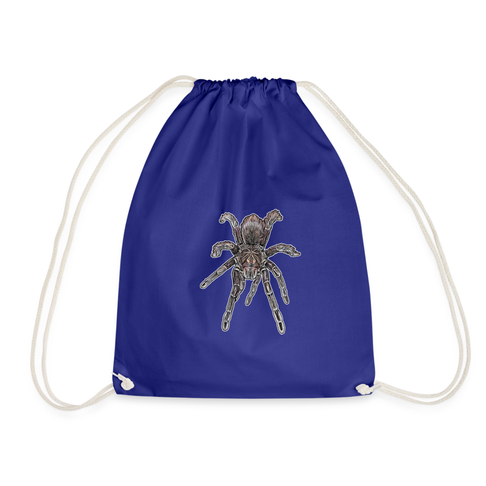 Turnbeutel Pamphobeteus sp Machala juvenile - Königsblau