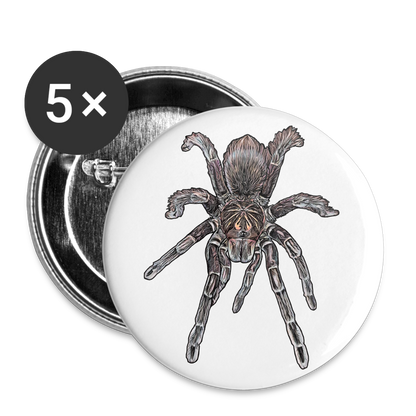 Buttons klein 25 mm (5er Pack) Pamphobeteus sp Machala juvenile - weiß