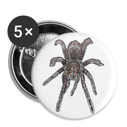 Buttons groß 56 mm (5er Pack) Pamphobeteus sp Machala juvenile - weiß