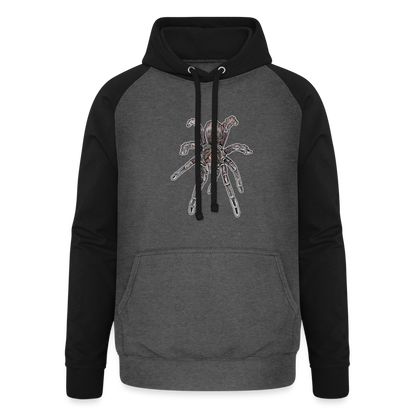 Unisex Baseball Hoodie Pamphobeteus sp Machala juvenile - Graphit/Schwarz