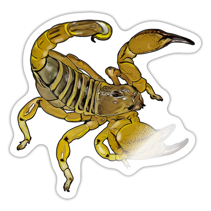 Sticker Scorpio maurus palmatus - Weiß glänzend