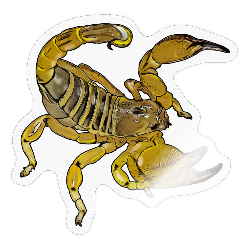 Sticker Scorpio maurus palmatus - Transparent glänzend