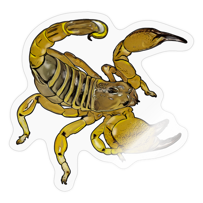 Sticker Scorpio maurus palmatus - Transparent glänzend
