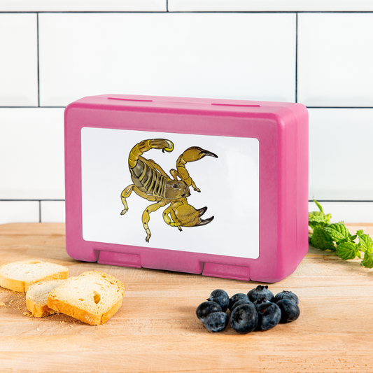 Lunchbox Scorpio maurus palmatus - Pink
